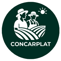 Logo CONCARPLAT